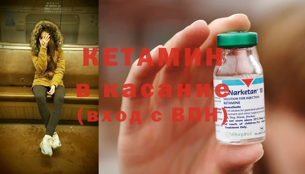 шишки Балахна