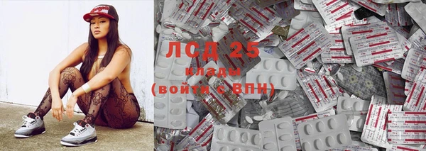 шишки Балахна