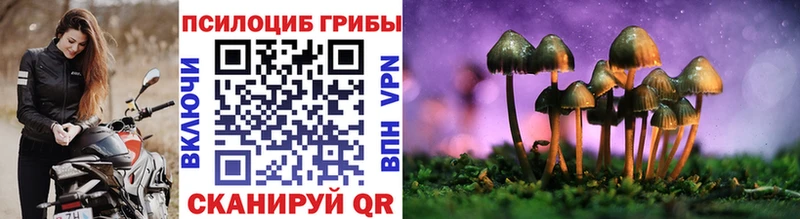 Псилоцибиновые грибы мицелий  Заречный 
