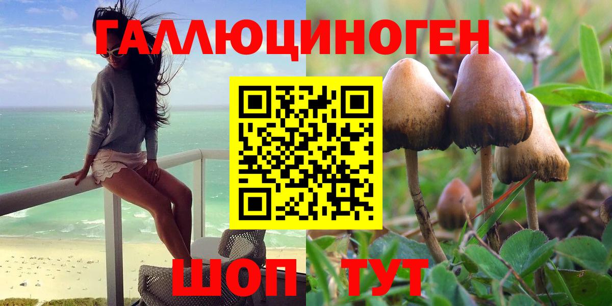Псилоцибиновые грибы Psilocybine cubensis Заречный
