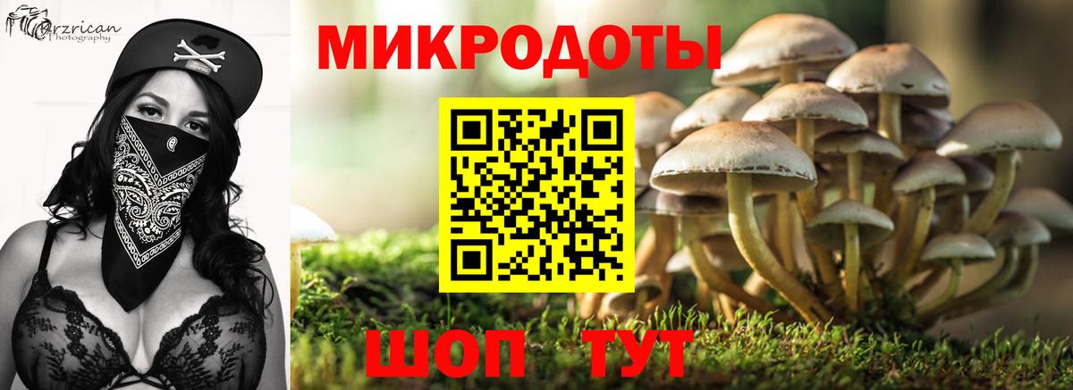 Галлюциногенные грибы MAGIC MUSHROOMS  Псилоцибиновые грибы MAGIC MUSHROOMS  Заречный  Вход с VPN 